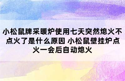 小松鼠牌采暖炉使用七天突然熄火不点火了是什么原因 小松鼠壁挂炉点火一会后自动熄火